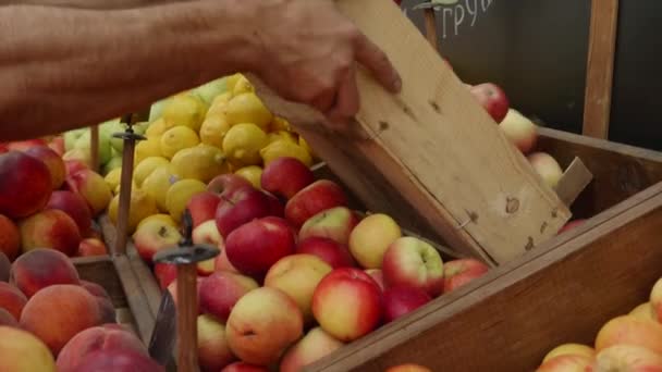 Detailní záběr prodavače potravin je nalití jablek z dřevěné krabice na regály skladu. — Stock video