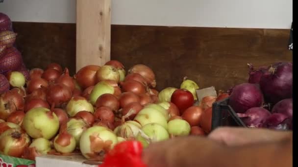 Mãos de perto do trabalhador do supermercado está organizando legumes nas prateleiras da loja. — Vídeo de Stock