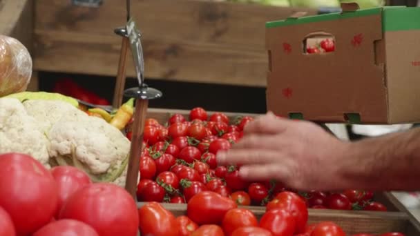 Close-up do trabalhador do supermercado é derrama tomates cereja da caixa nas prateleiras da loja. — Vídeo de Stock