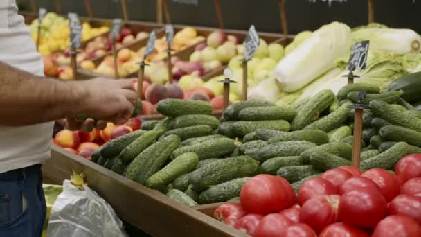 Mãos de perto do trabalhador do supermercado está organizando pepinos em prateleiras da loja — Vídeo de Stock