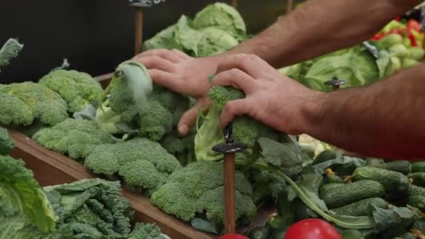 Primer plano manos de trabajador de comestibles está organizando verduras en estantes de la tienda. — Vídeos de Stock