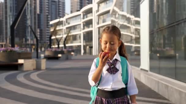 学校の制服を着た小さな生徒が街の風景の中で学校に行く — ストック動画