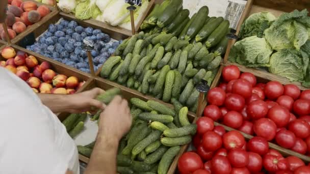 Mãos de perto do trabalhador do supermercado está organizando pepinos em prateleiras da loja — Vídeo de Stock