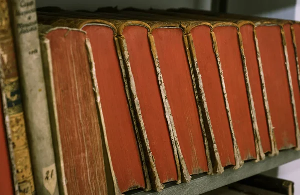 Livros antigos estão na prateleira. — Fotografia de Stock