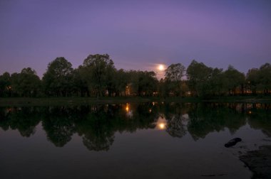 Ağaçların ve güneşin r olduğu gölde sabah gün doğumu