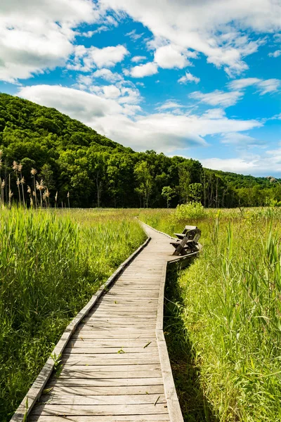 Appalachian iz Boardwalk Pawling New York'ta