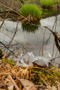 Doğu Boyalı Kaplumbağa plastik bir altı paketi içecek tutucu dolaşmış.