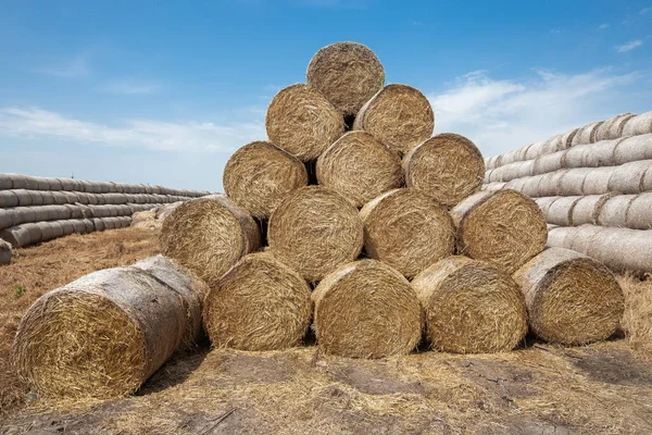 Caudas Feno Campo Localizado Uma Fazenda — Fotografia de Stock