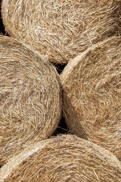 Caudas Feno Campo Localizado Uma Fazenda — Fotografia de Stock