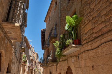 Dar sokakların özü ve Calaceite köyünün taş mimarisi. Görüntüler, mavi gökyüzünün altındaki kaldırım taşlarından, tarihi kemer ve merdivenlerin detaylarına kadar uzanan farklı perspektifleri gösteriyor.. 