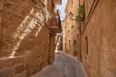 Duvarların ve asfaltın dokusunu aydınlatan, güneş ışığıyla yıkanmış, dar, koyu renkli taş bir ara sokak, sakin ve zamansız bir atmosfer sunuyor. Kompozisyon, birbirine yakın çizgileriyle, izleyiciyi köyün daha derinlerine inmeye davet ediyor.
