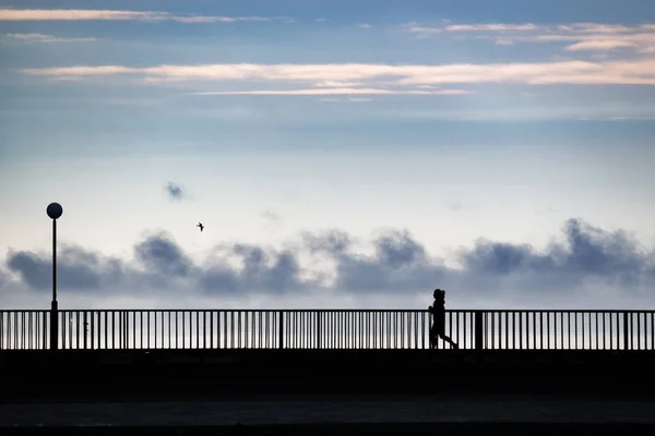 Bir grup içinde bir nehir üzerinde bir köprü üzerinde siluet duran insan. Siyah ve beyaz.