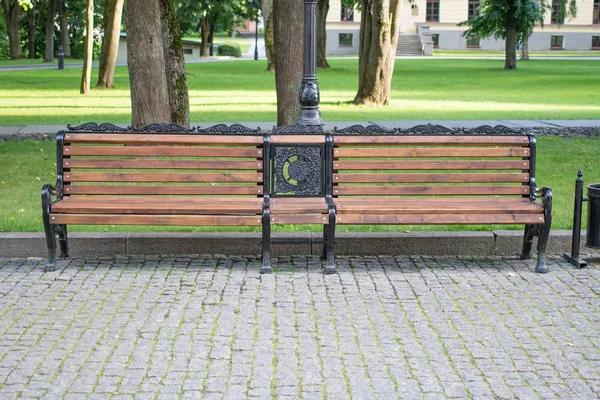 Şehir Parkı yaz saati içinde ahşap Bank