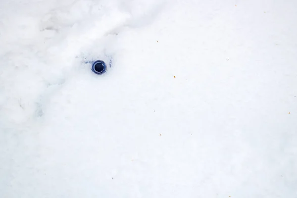 Flaskhals Liggande Snön Den Winterin Dagtid — Stockfoto