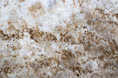 Mark üzerinde kirli kar, kış. Gündüz