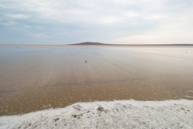Gündüz sonbahar sezonu pembe Tuz Gölü
