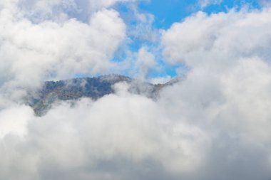 Dağ manzarası. Caucasus yaz görünümü gündüz