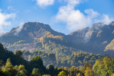Dağ manzarası. Caucasus yaz görünümü gündüz
