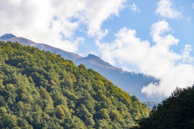 Dağ manzarası. Caucasus yaz görünümü gündüz