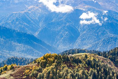 Dağ manzarası. Caucasus yaz gün görünümü orman