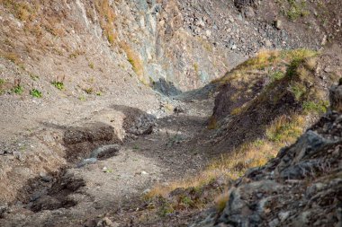 Dağ manzarası. Caucasus yaz gün görünümü orman