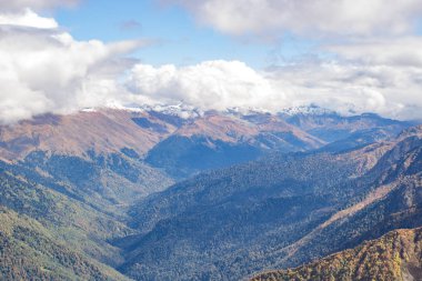 Dağ manzarası. Caucasus yaz gün görünümü orman