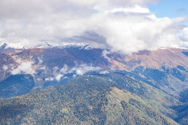 Dağ manzarası. Caucasus yaz gün görünümü orman