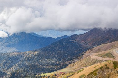 Dağ manzarası. Caucasus yaz gün görünümü orman