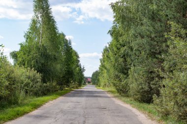 Dost keçi ahşap çit ile kafa sopalarla