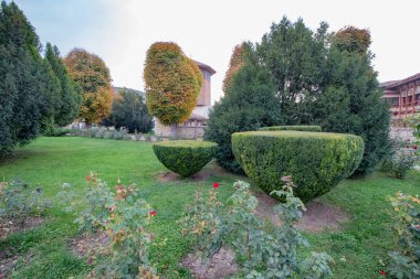 Çalılar, çiçek yatakları ve yaz aylarında ağaçlar