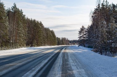 Kış çam ormanında asfalt yol