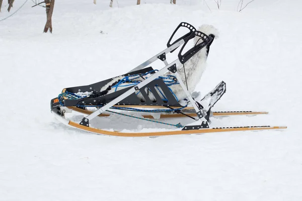 冬季雪地里的现代雪橇 — 图库照片