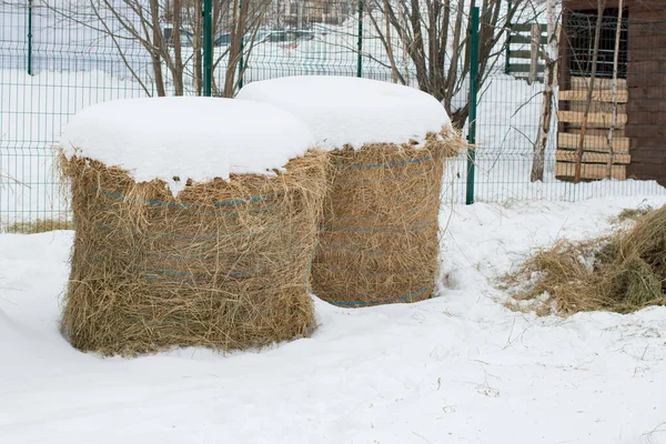 Kışın karda saman yığını