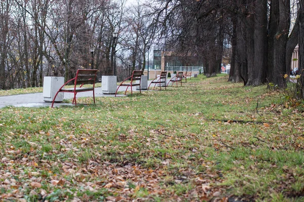 Aszfaltozott út az őszi parkban nappal — Stock Fotó