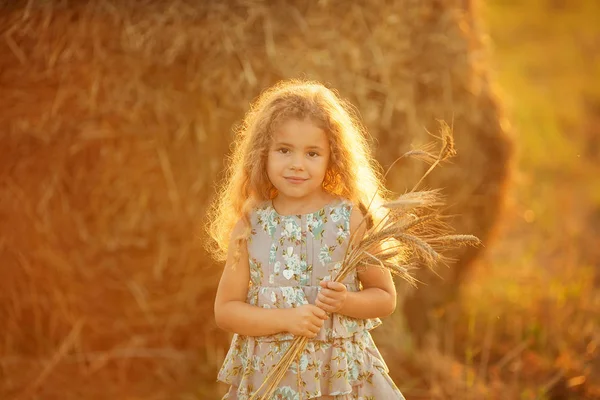 Kleines Mädchen Mit Lockigem Haar Das Neben Heuhaufen Steht Und — Stockfoto