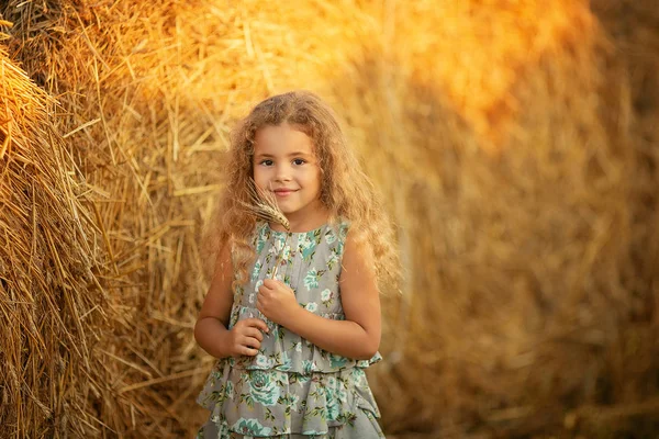 Dziewczynka Stoi Obok Stogu Siana Kłoska Ręce Uśmiecha Się Kamery — Zdjęcie stockowe