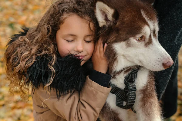 Malá Dívka Kudrnaté Vlasy Objímání Sibiřský Husky Pes — Stock fotografie