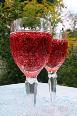 İki güzel yüzlü köpüklü gül şarabı ya da şampanya.