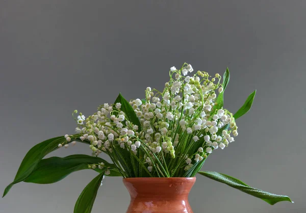 Букет Квітів Лілії Долини Весняні Квіти — стокове фото