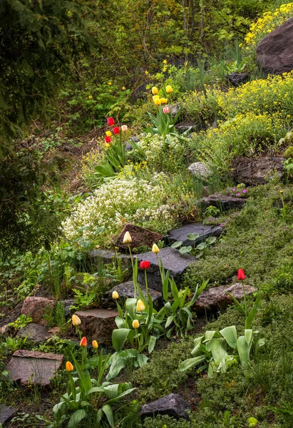 Parque Paisajístico Naturaleza Flores — Foto de Stock