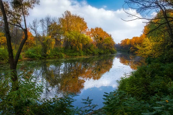 autumn landscape. the golden age of nature. rest on the beach.