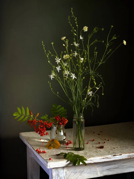 Natura Morta Con Fiori Campo Bacche Frassino Montagna Vintage — Foto Stock