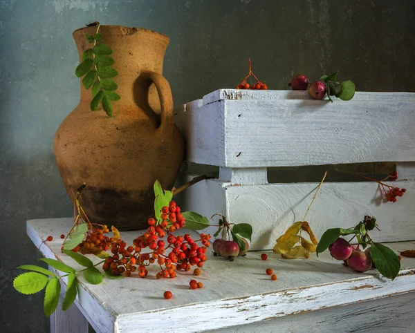 Nature Morte Con Frutti Bosco Mele Selvatiche Vintage — Foto Stock