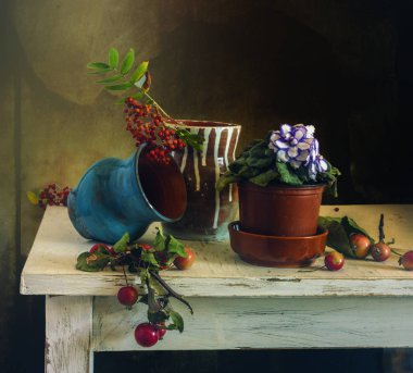 vazolar ve dağ kül, yabani elma ve menekşe ile natürmort. Vintage.