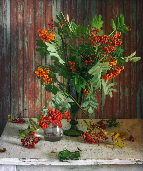 Natura Morta Con Bouquet Cenere Montagna Vintage — Foto Stock