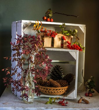 kırmızı yaprakları, rowan, koni, meşe palamudu ve Yabani elma ile natürmort. Vintage.