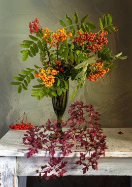 rowan ve kırmızı yaprakları ile şube ile natürmort. Vintage