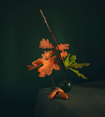 Meşe palamutları ve meşe bir şube ile natürmort. Vintage. Minimalizm.