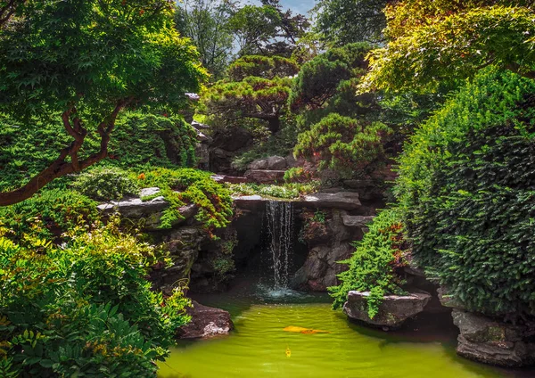 Descansar Parque Hermosa Naturaleza — Foto de Stock