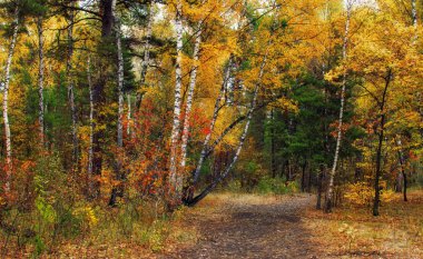 Sonbahar skeçler. manzara. sonbahar renkleri.